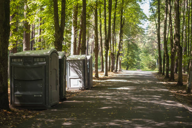 Best Sanitation services for porta potties  in Dover, DE